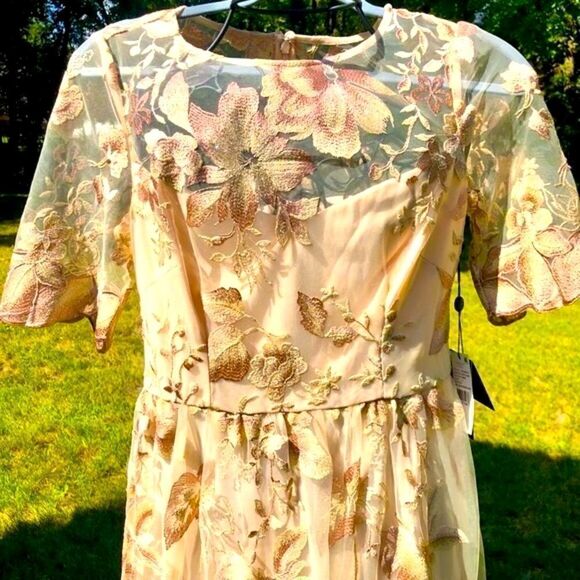 ADRIANNA PAPELL ROSE QUART LONG ILLUSION MESH DRESS 8 NWT - Picture 5 of 16